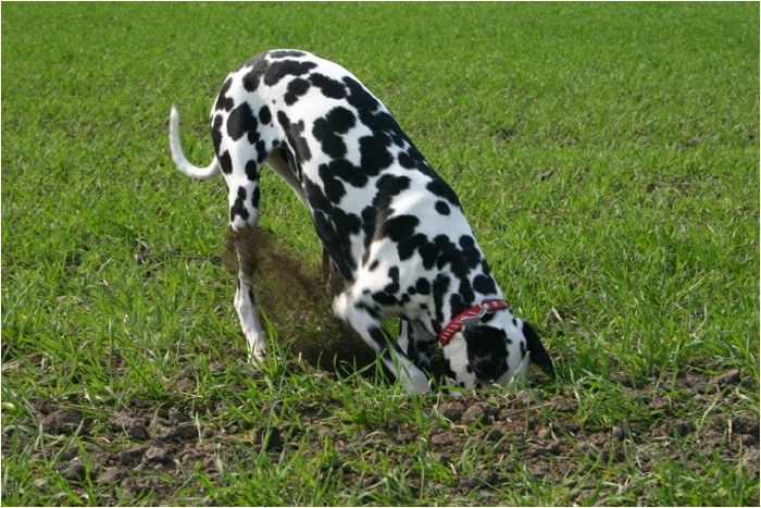 <b>so tief kann doch keine Maus sein!<b>